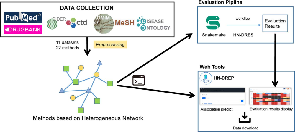 多尺度异构网络示意图