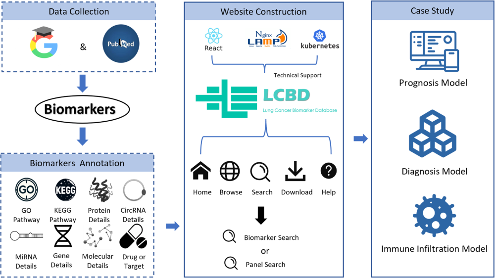 多组学数据整合示意图