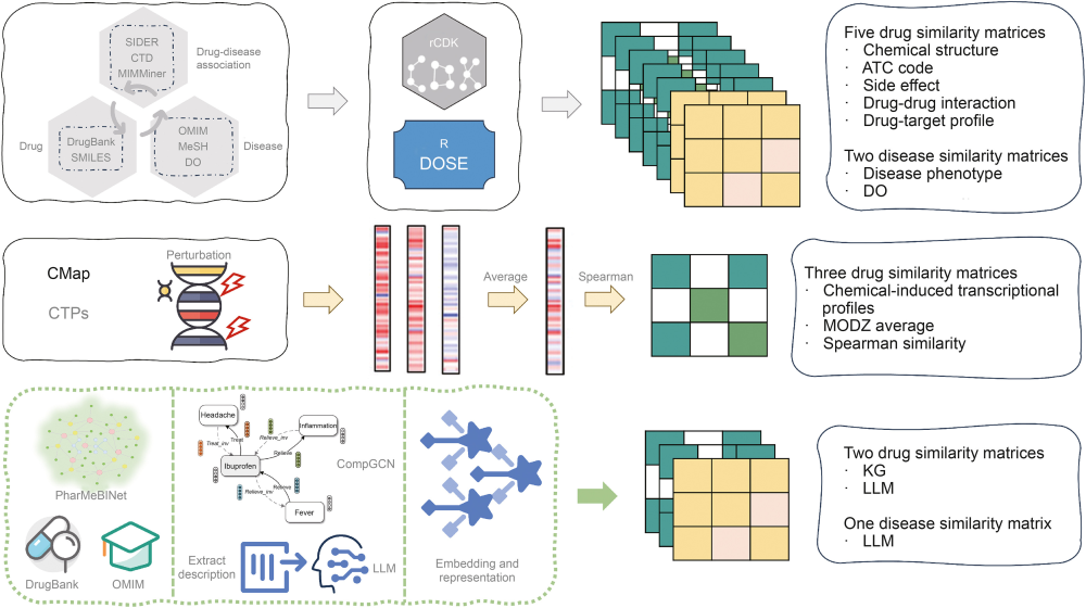 多尺度网络嵌入示意图
